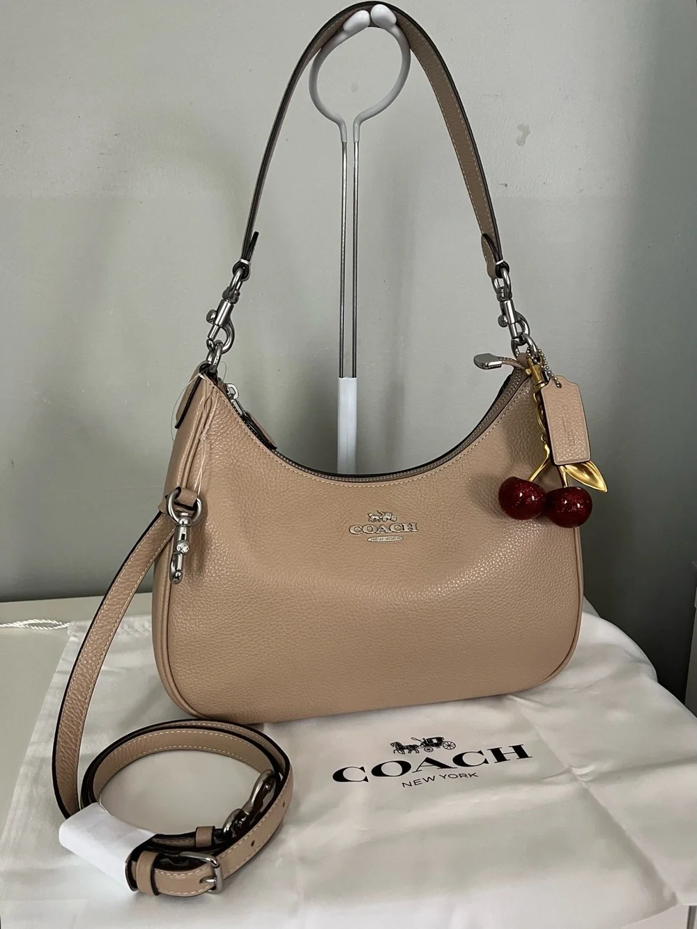 Coach Teri Hobo Bag